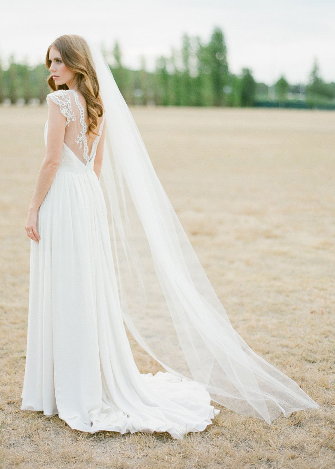 WYNTER Classic Chapel Wedding Veil  TANIA MARAS 