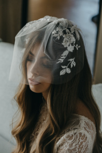 NOUVEAU lace birdcage veil 1