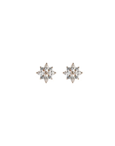 Eliza Crystal Stud Earrings.jpg