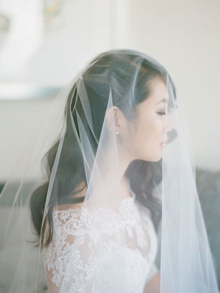Gorgeous Wedding Hairstyles With Veils Half Up Hair With Veil 4
