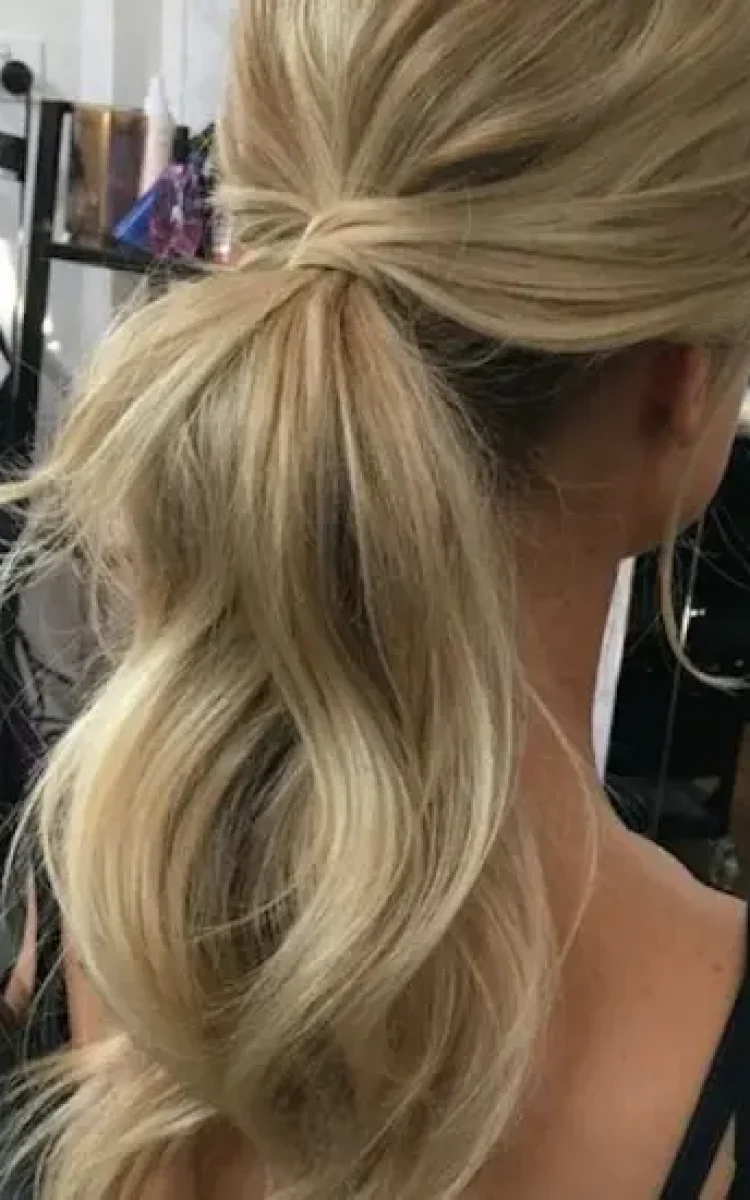 Img Ponytail 01